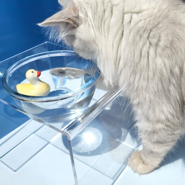 링펫 강아지 고양이 물그릇 유리 수반 식기